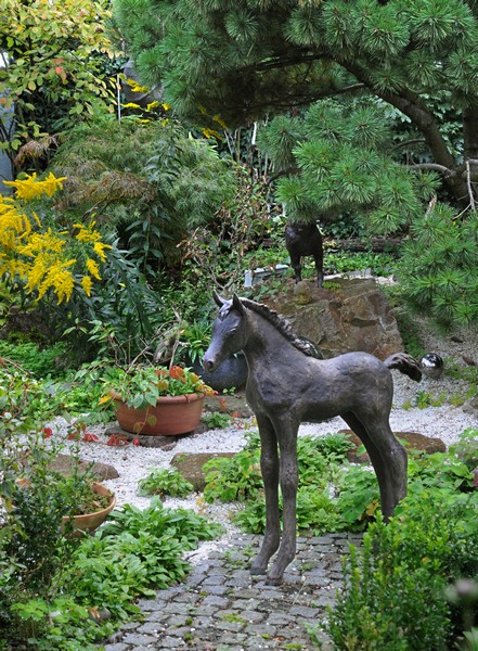 Projekt 06 - Foto 06