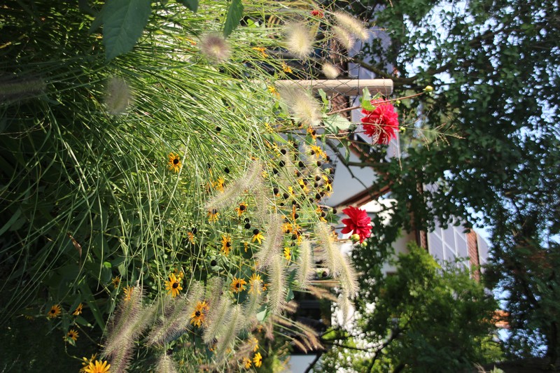 Projekt 07 - Foto 05