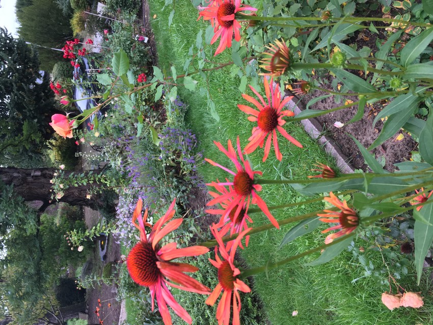 Projekt 08 - Foto 01