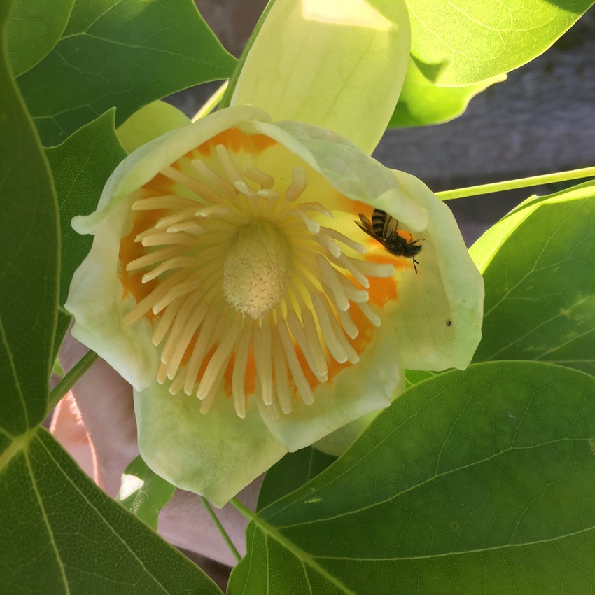 Projekt 08 - Foto 02