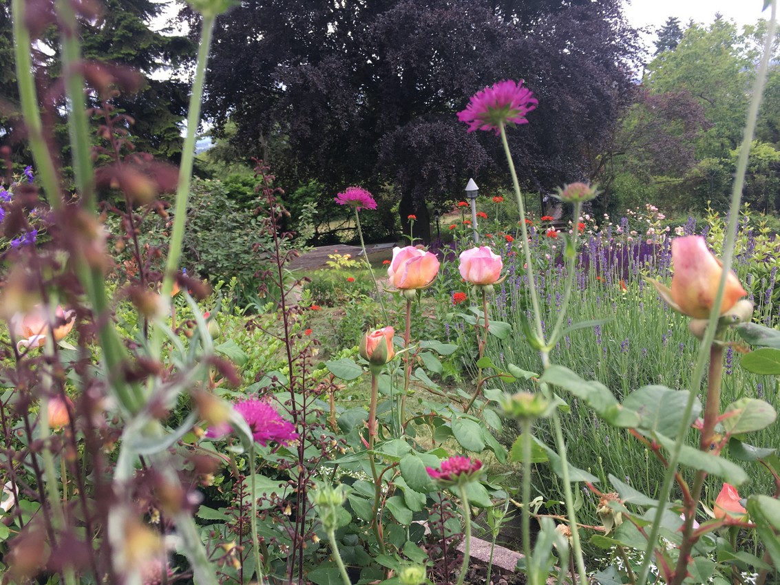 Projekt 08 - Foto 04