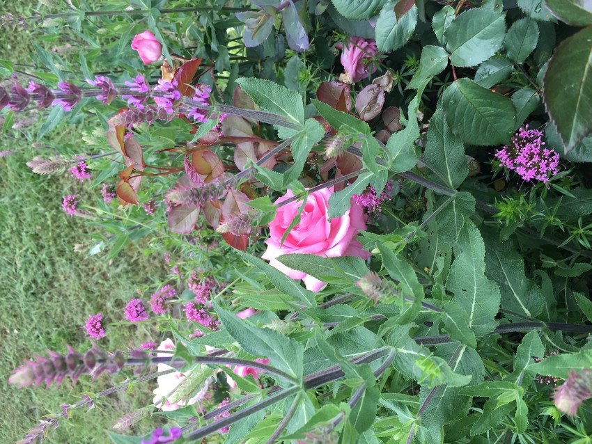 Projekt 08 - Foto 05