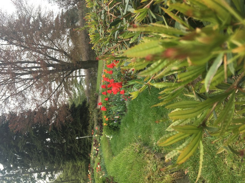 Projekt 08 - Foto 07