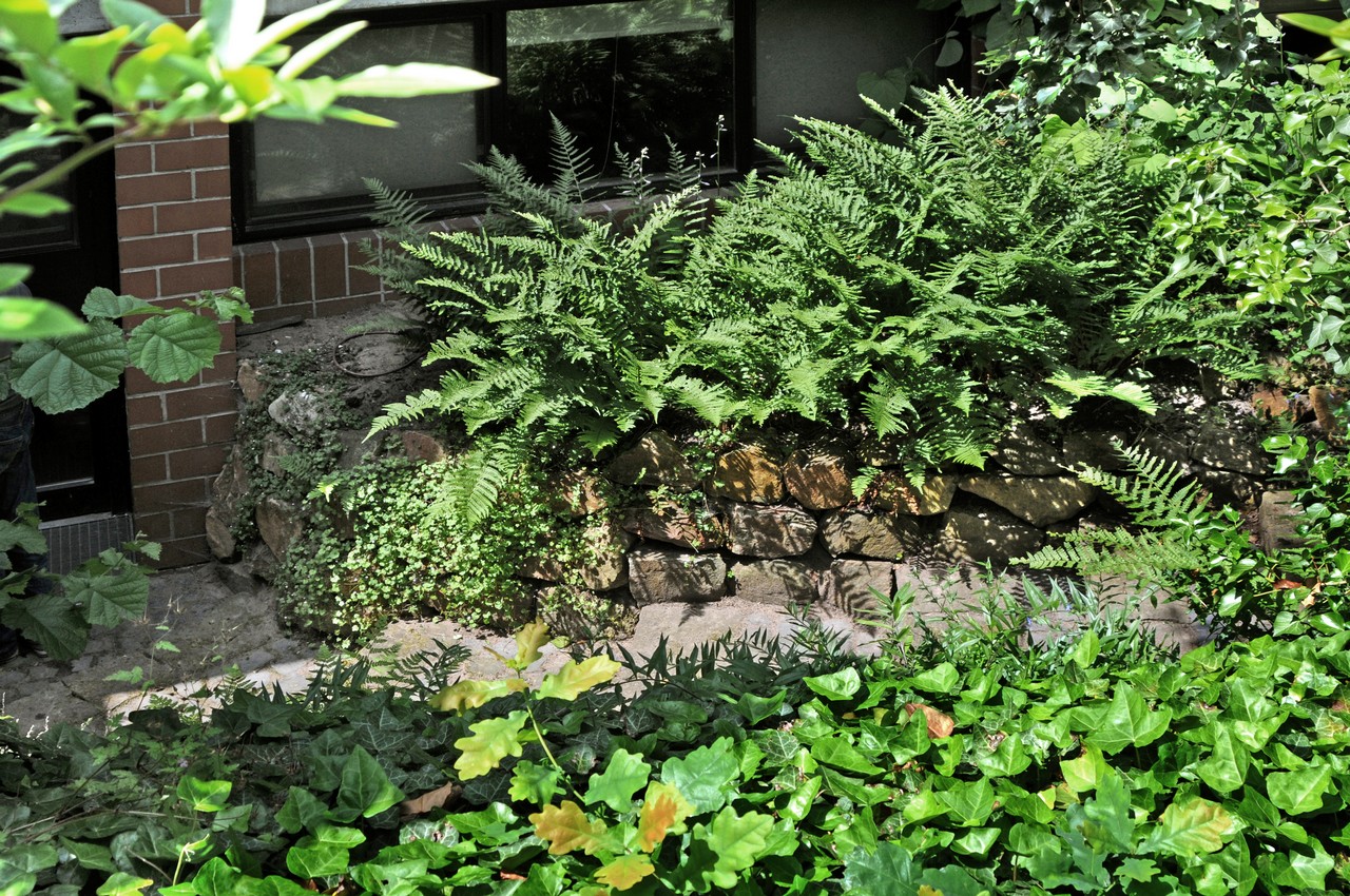 Projekt 09 - Foto 01