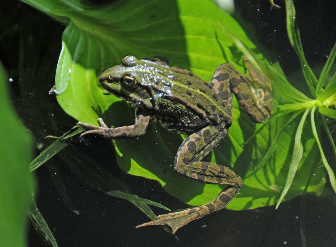 Projekt 09 - Foto 04