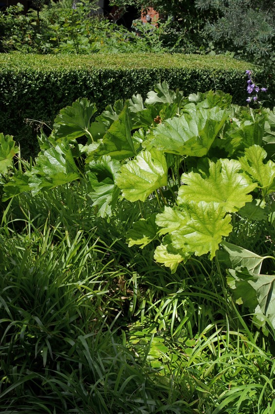 Projekt 09 - Foto 05